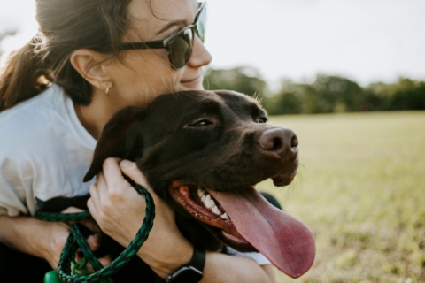 女性に抱き抱えられている犬