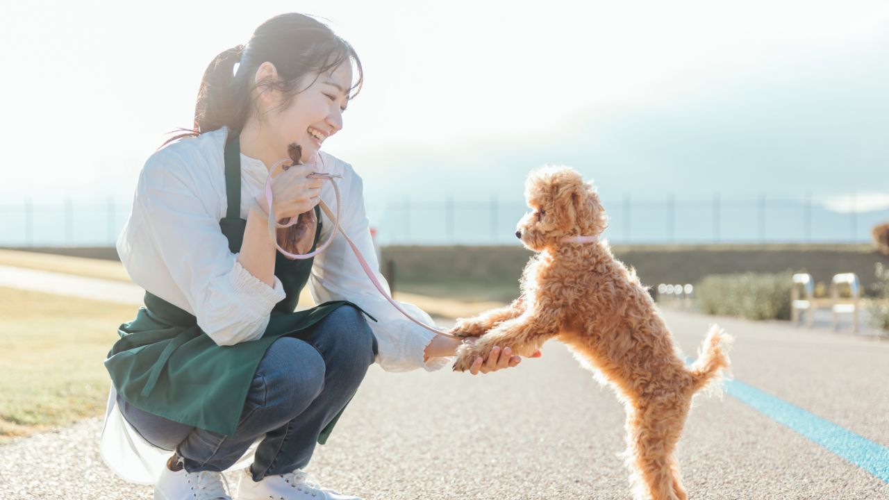 女性とわんちゃん